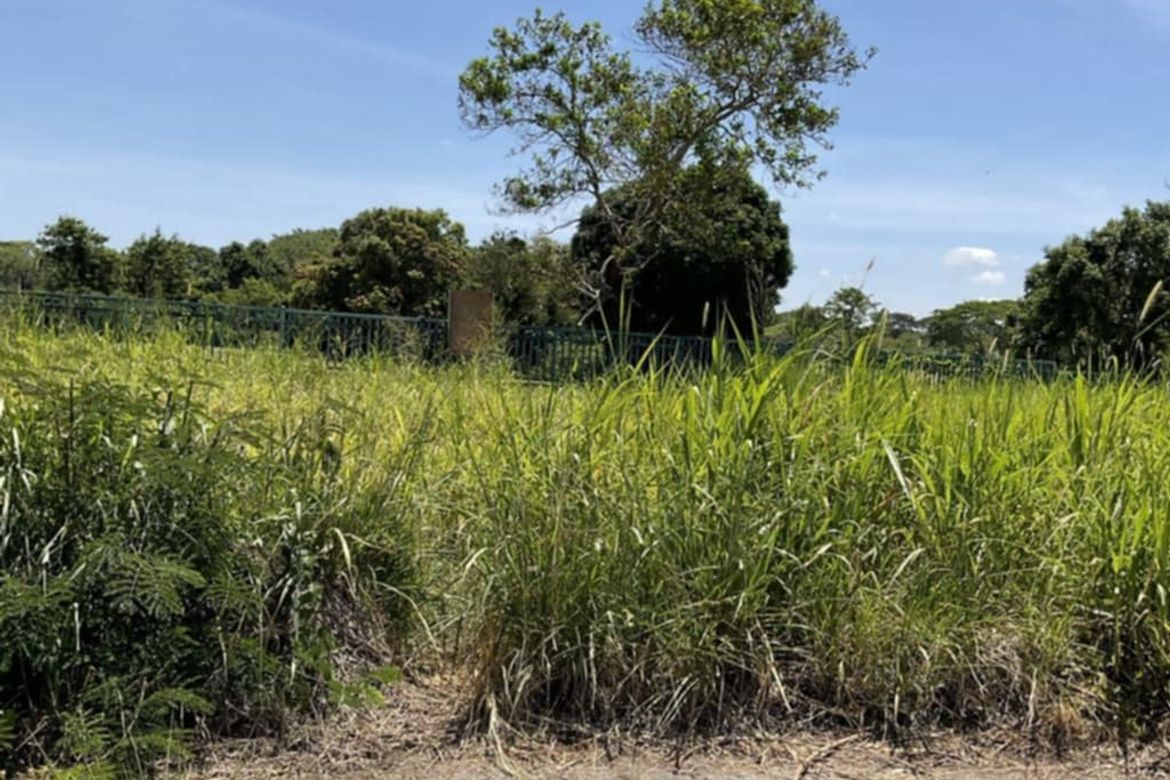 Land for Sale in Javalera, General Trias, Cavite – photo 5