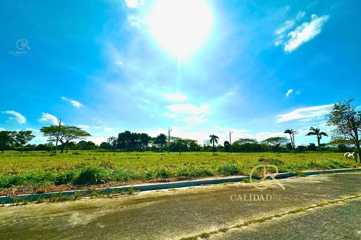 Land for Sale in Javalera, General Trias, Cavite – photo 3