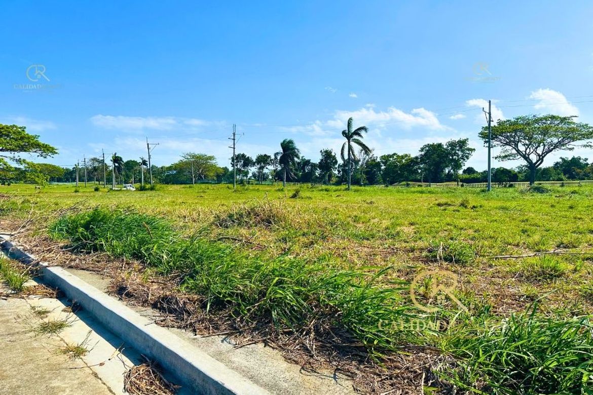 Land for Sale in Javalera, General Trias, Cavite – photo 6
