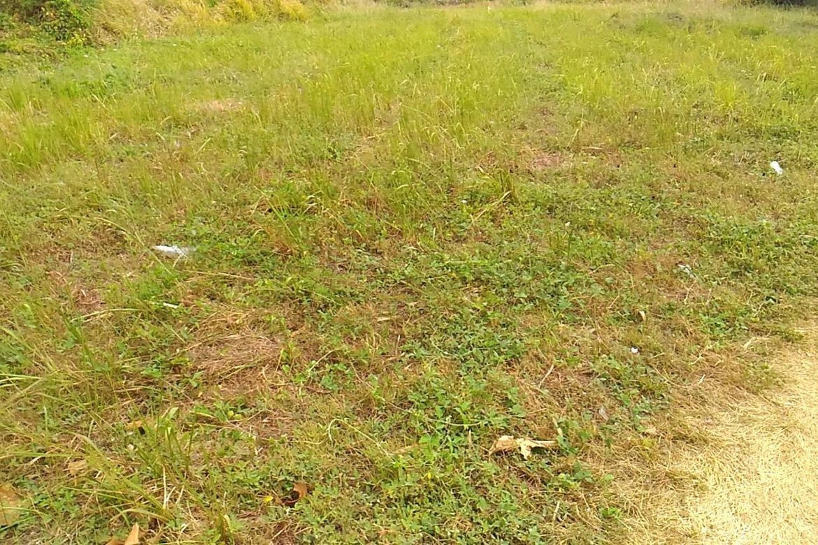 Land for Sale in Javalera, General Trias, Cavite