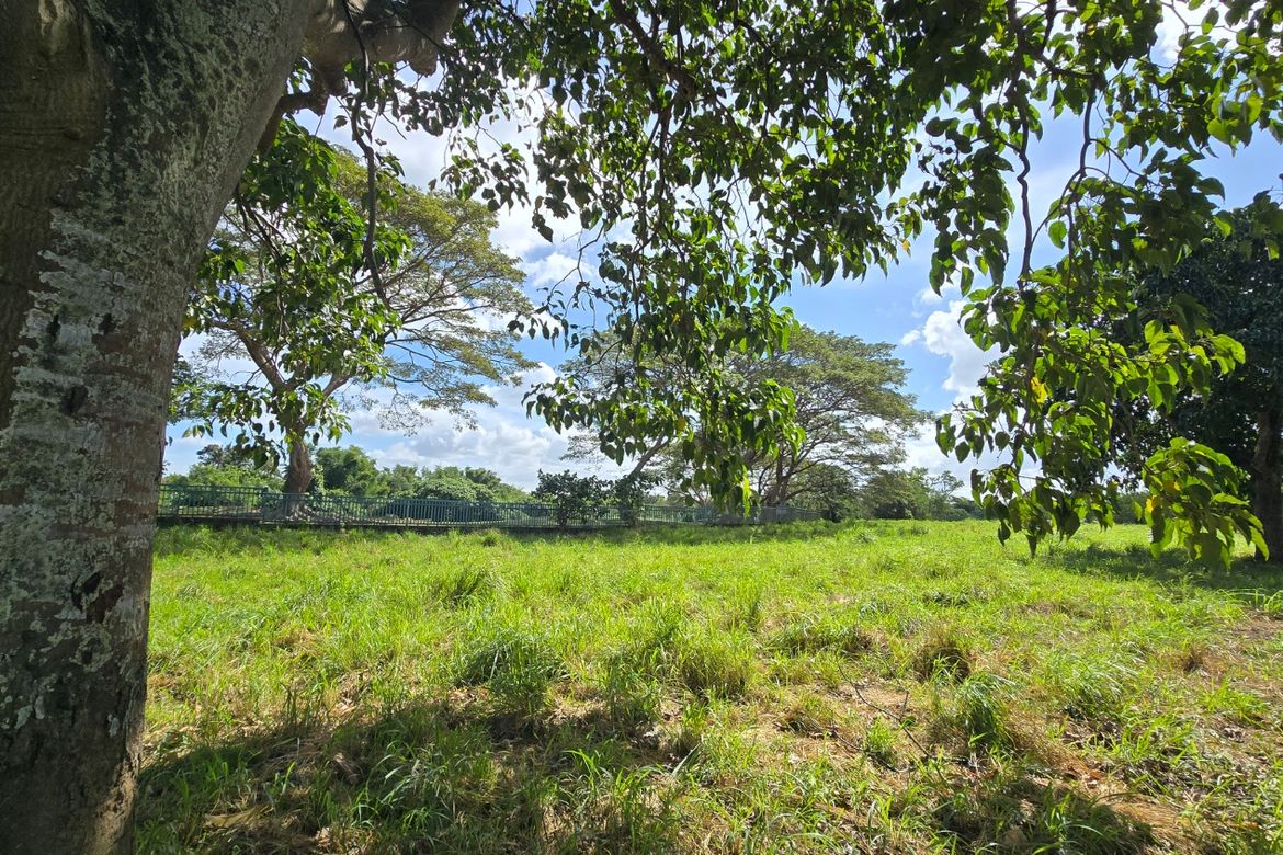 Land for Sale in Javalera, General Trias, Cavite – photo 2