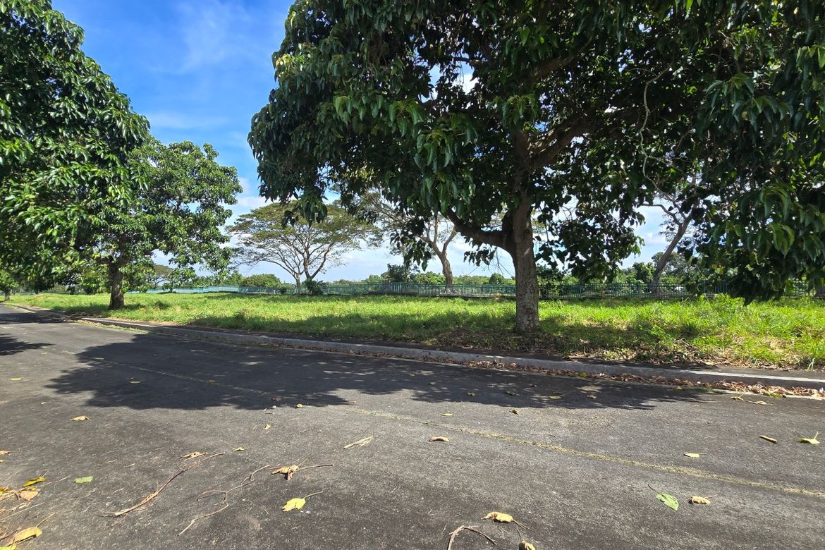 Land for Sale in Javalera, General Trias, Cavite – photo 3