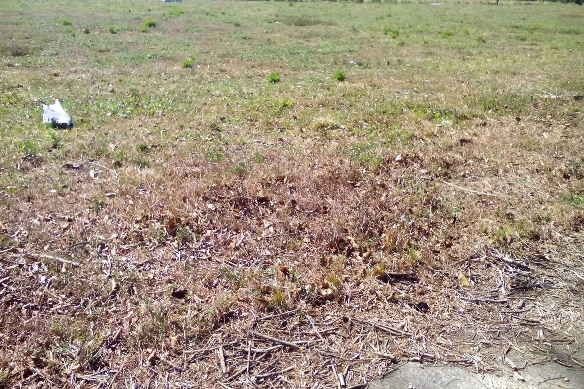 Land for Sale in Javalera, General Trias, Cavite – photo 2