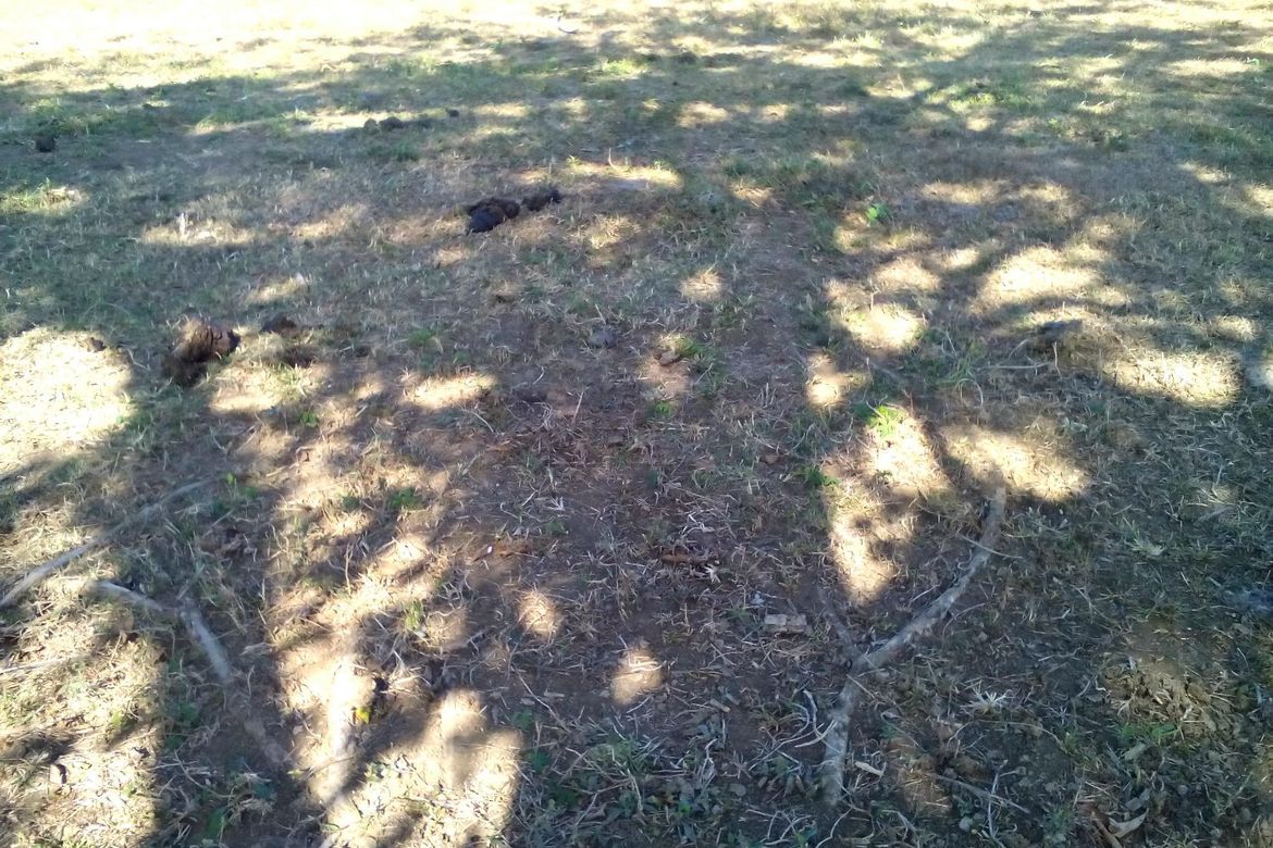 Land for Sale in Javalera, General Trias, Cavite – photo 3