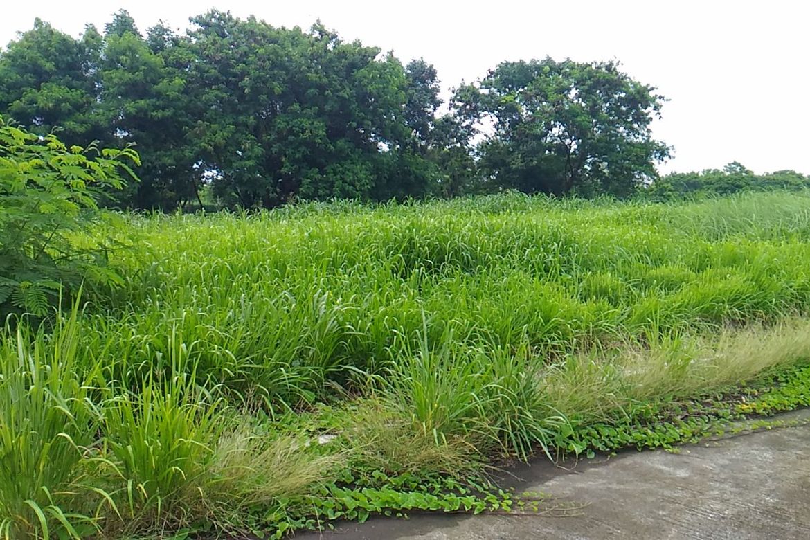Land for Sale in Javalera, General Trias, Cavite – photo 4