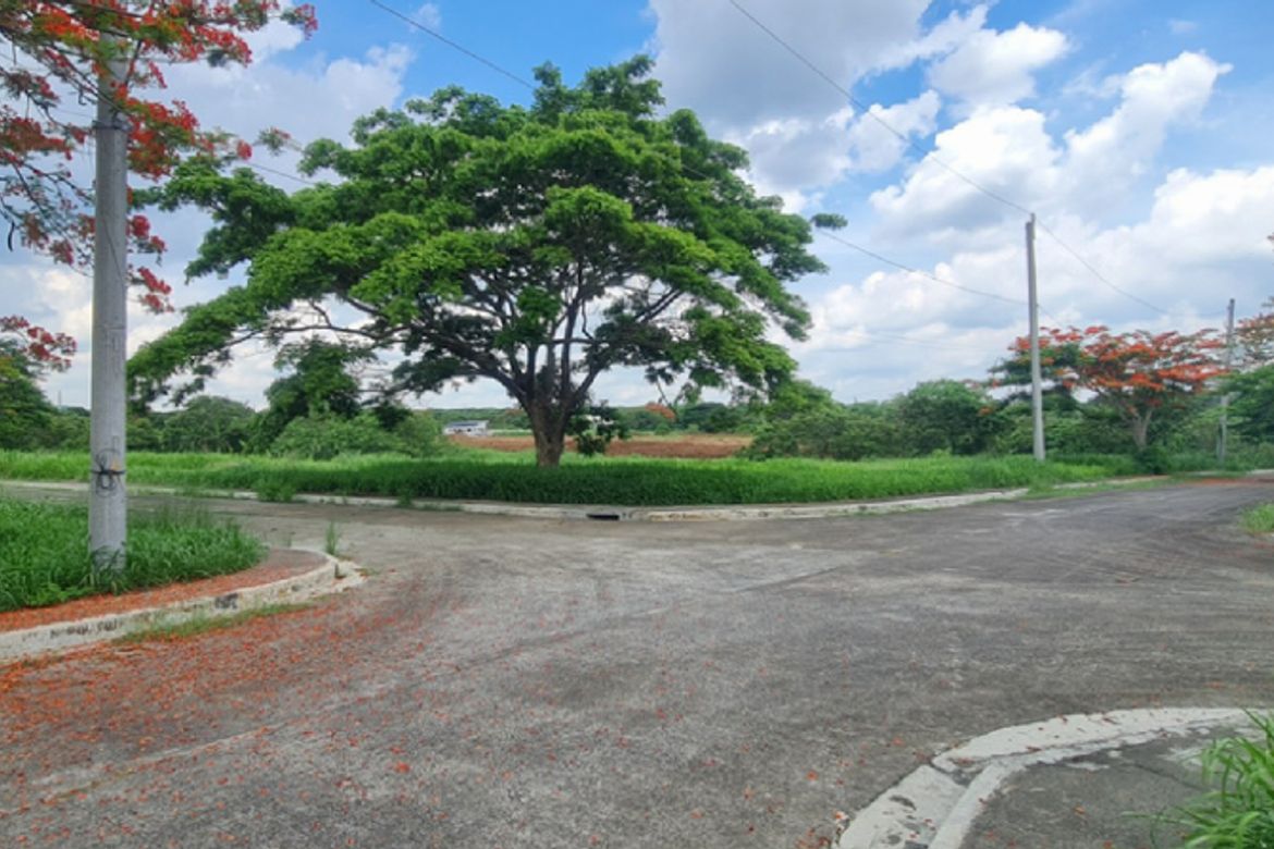 Land for Sale in Javalera, General Trias, Cavite – photo 2
