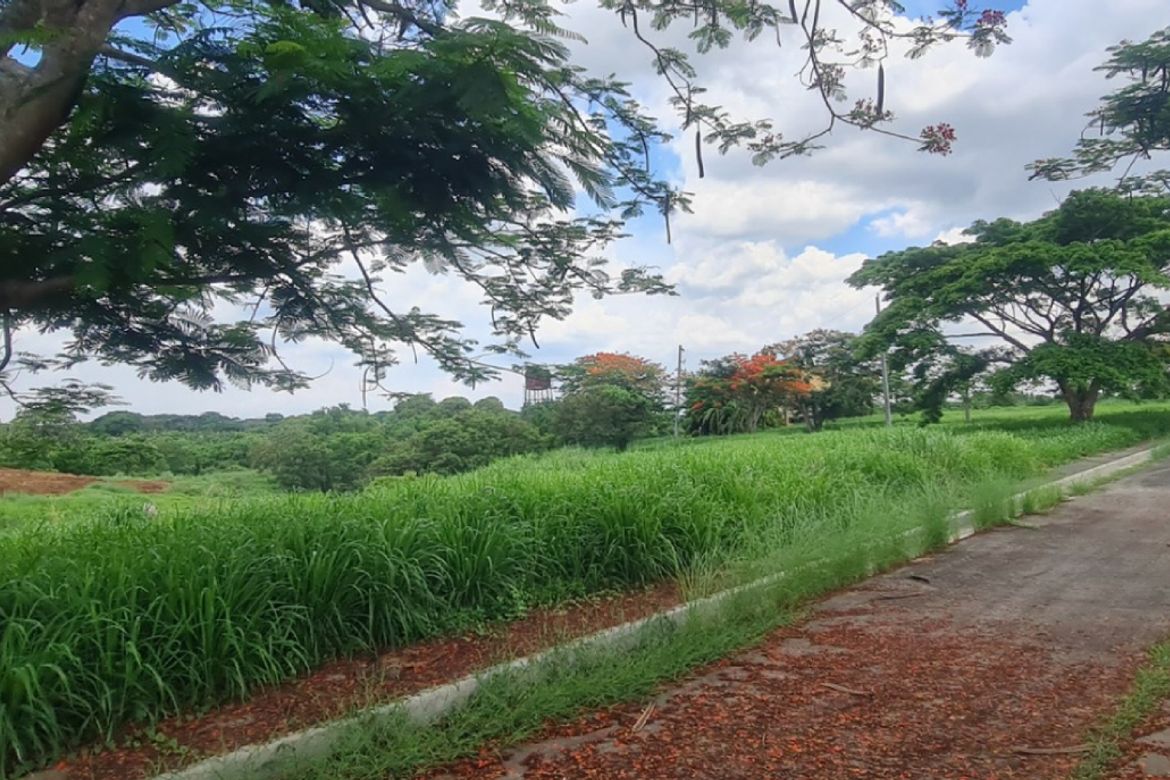 Land for Sale in Javalera, General Trias, Cavite – photo 3
