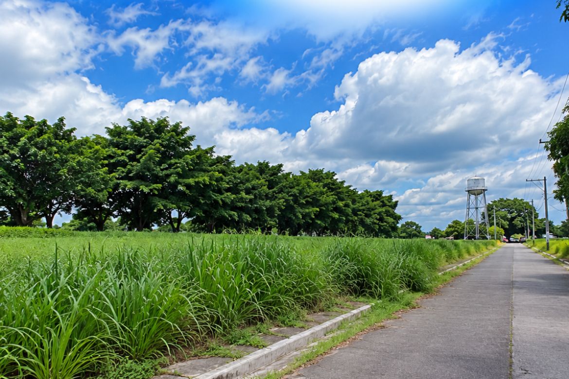 Land for Sale in Javalera, General Trias, Cavite