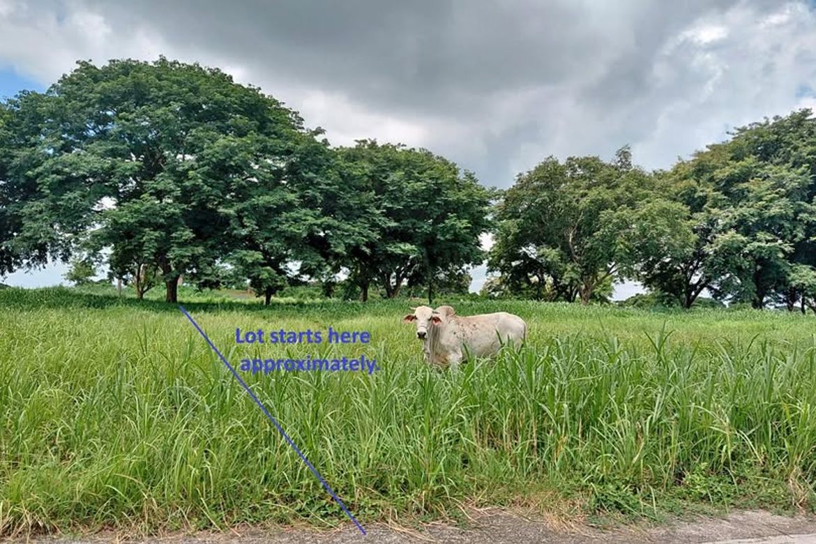 Land for Sale in Javalera, General Trias, Cavite – photo 3