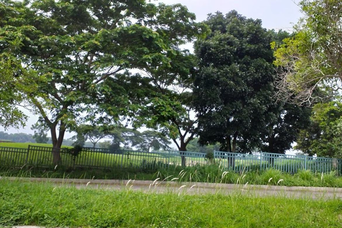 Land for Sale in Javalera, General Trias, Cavite – photo 4
