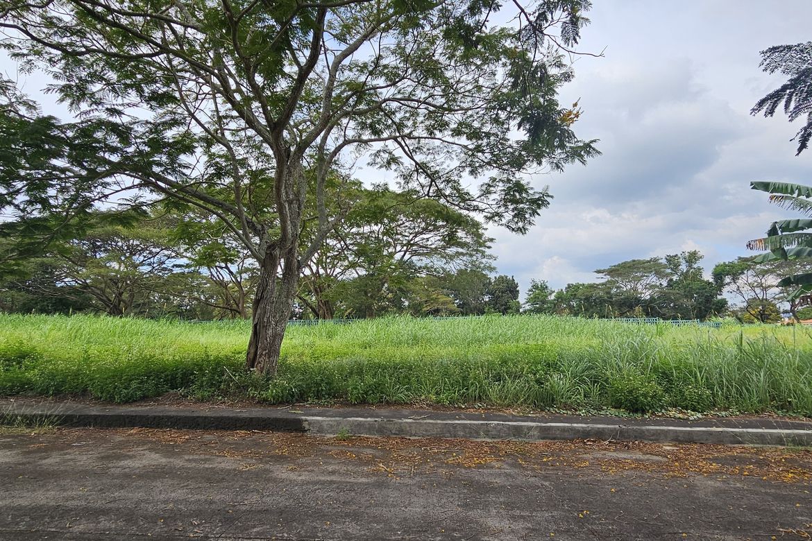Land for Sale in Javalera, General Trias, Cavite – photo 4