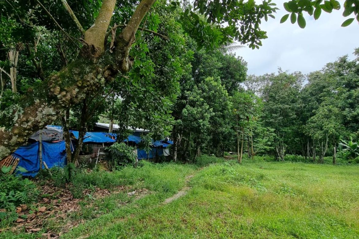Land for Sale in Jawa, Valencia, Negros Oriental – photo 4