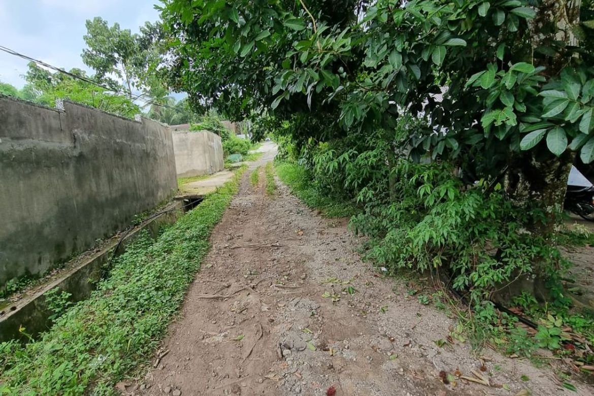 Land for Sale in Jawa, Valencia, Negros Oriental – photo 7