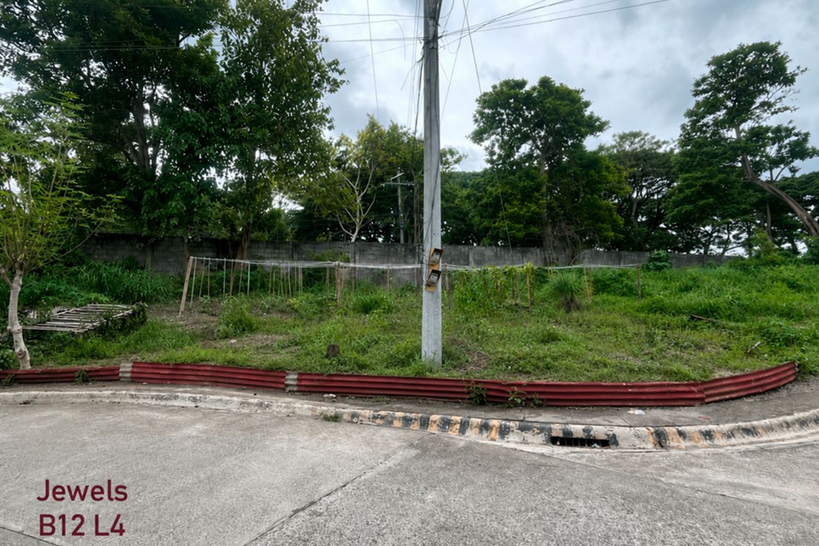 Land for Sale in Jibao-An, Pavia, Iloilo – photo 2
