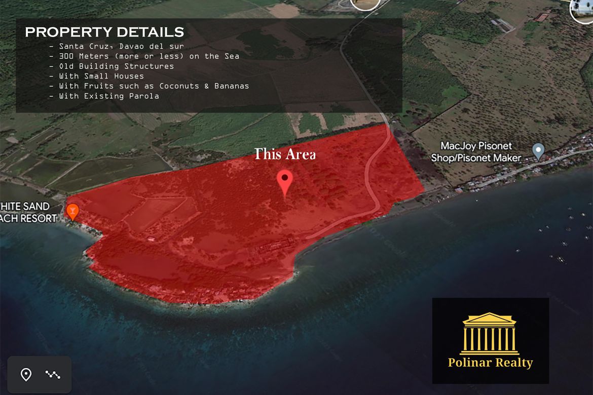 Land for Sale in Jose Rizal, Santa Cruz, Davao del Sur