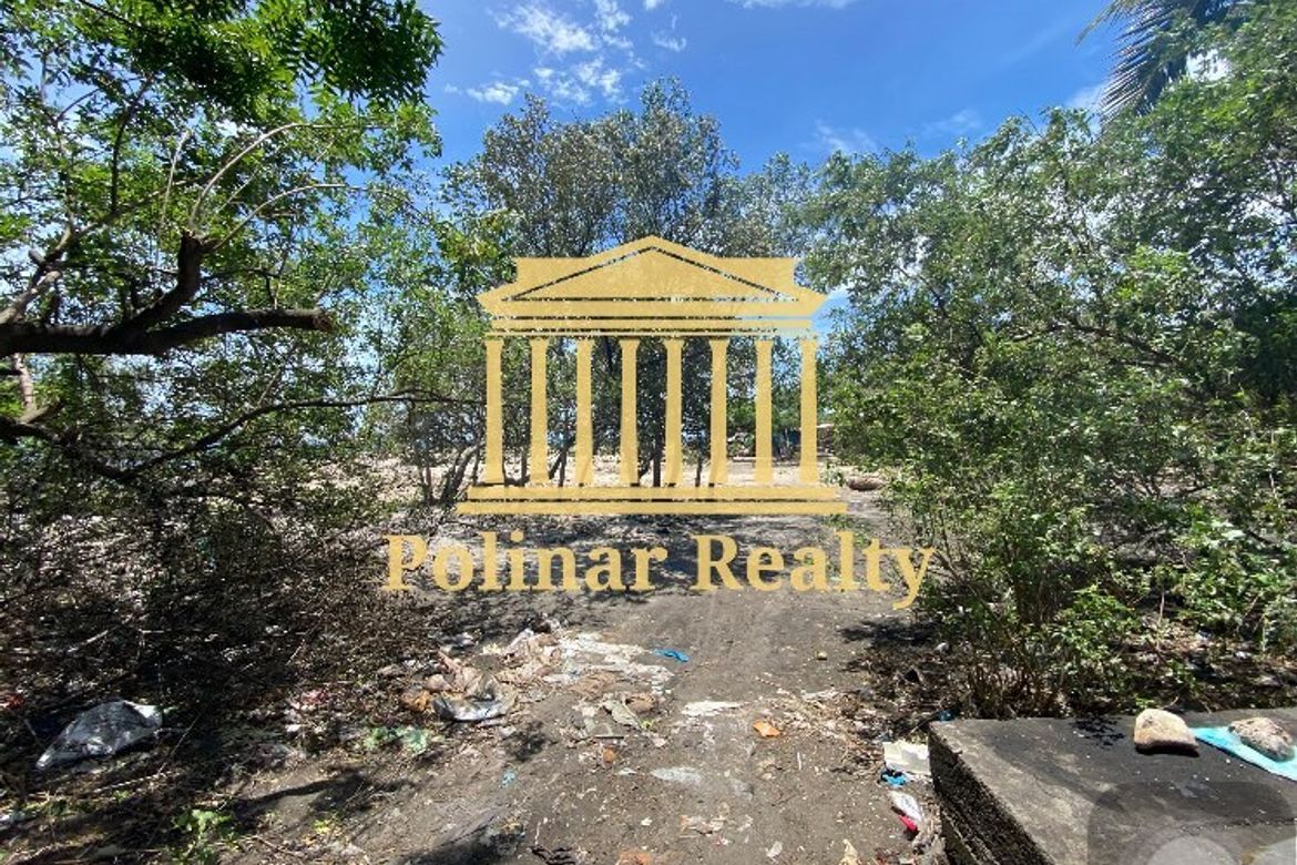 Land for Sale in Jose Rizal, Santa Cruz, Davao del Sur – photo 3