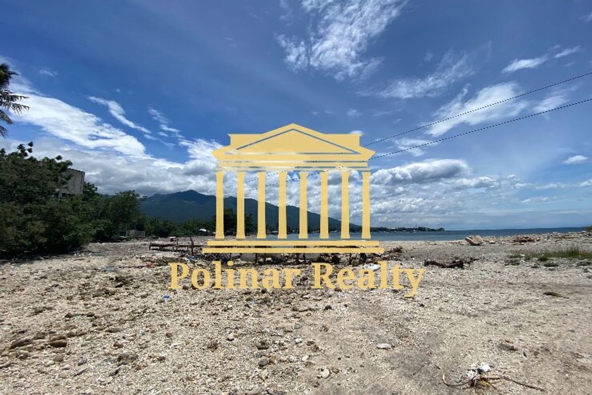 Land for Sale in Jose Rizal, Santa Cruz, Davao del Sur – photo 4