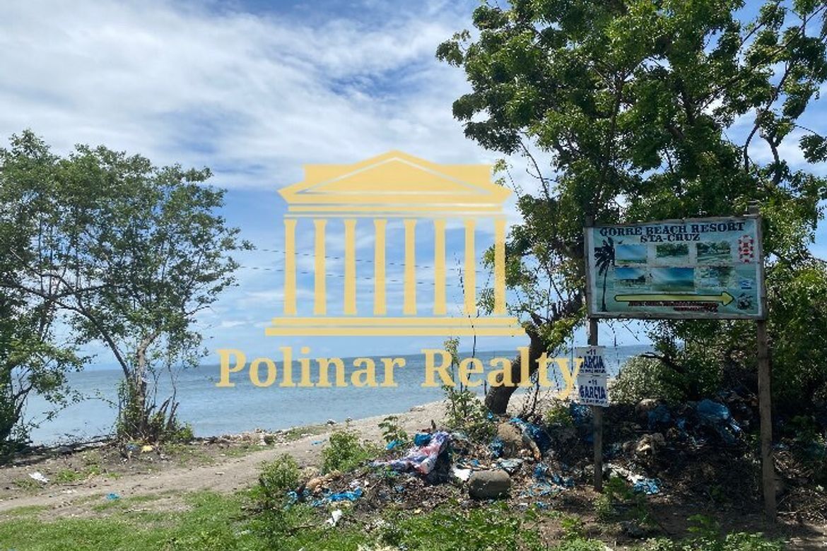 Land for Sale in Jose Rizal, Santa Cruz, Davao del Sur – photo 6