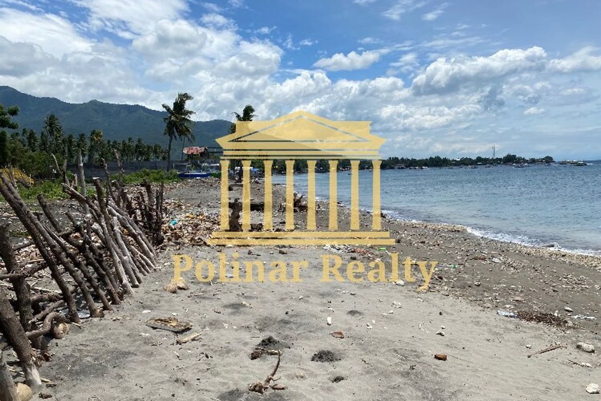 Land for Sale in Jose Rizal, Santa Cruz, Davao del Sur – photo 8