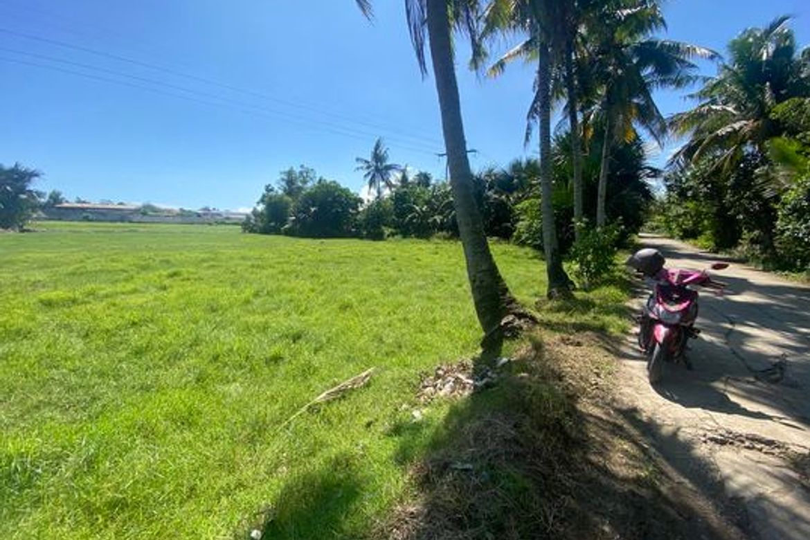 Land for Sale in Jubay, Liloan, Cebu – photo 2