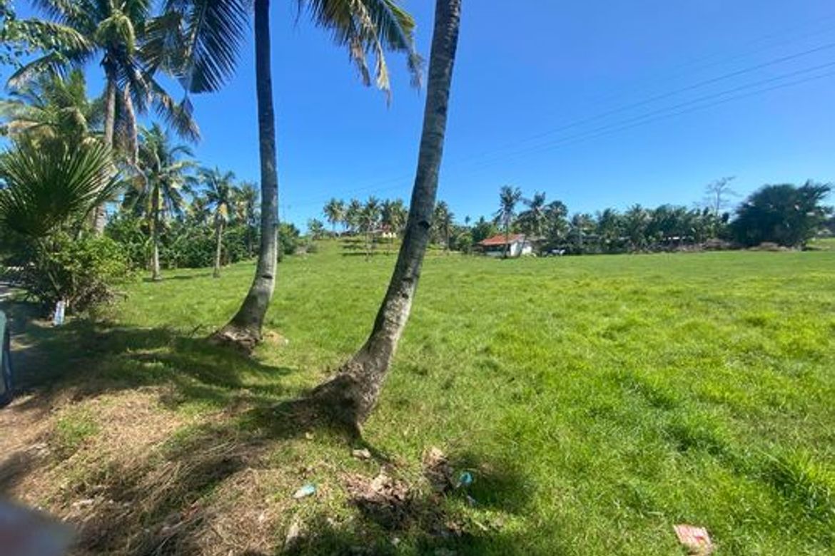 Land for Sale in Jubay, Liloan, Cebu – photo 3