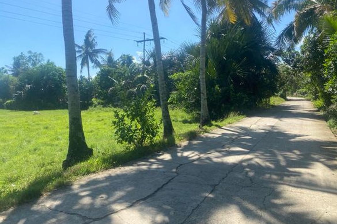Land for Sale in Jubay, Liloan, Cebu – photo 4