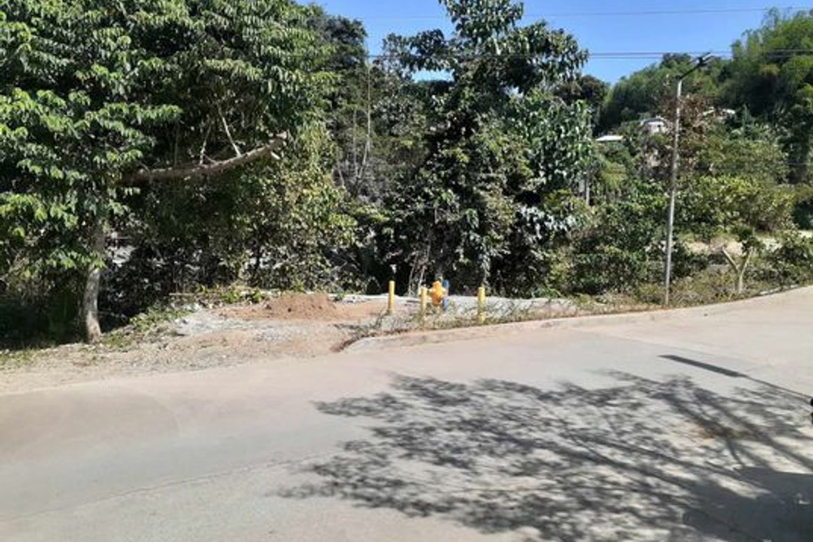 Land for Sale in Jubay, Liloan, Cebu – photo 3