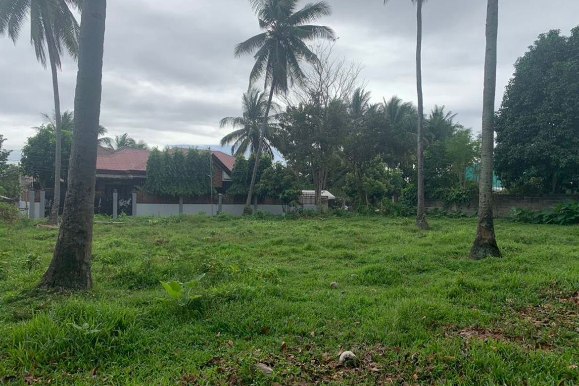 Land for Sale in Junob, Dumaguete, Negros Oriental – photo 7