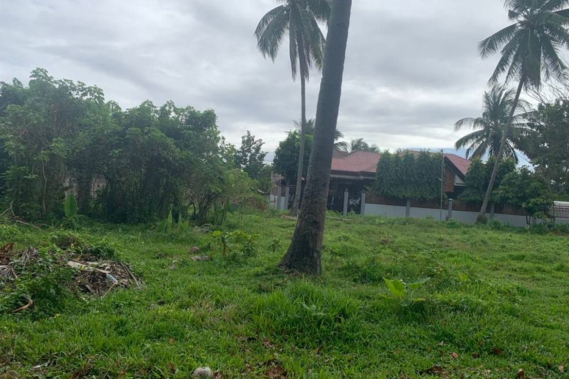 Land for Sale in Junob, Dumaguete, Negros Oriental – photo 8
