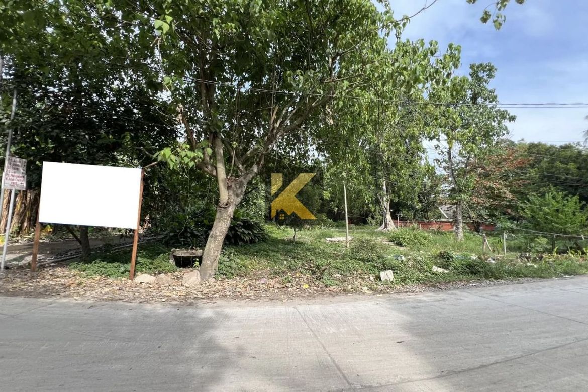 Land for Sale in Junob, Dumaguete, Negros Oriental