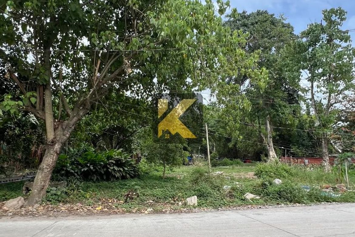 Land for Sale in Junob, Dumaguete, Negros Oriental – photo 3