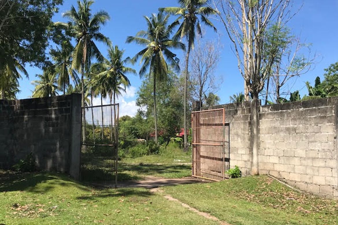 Land for Sale in Junob, Dumaguete, Negros Oriental – photo 2