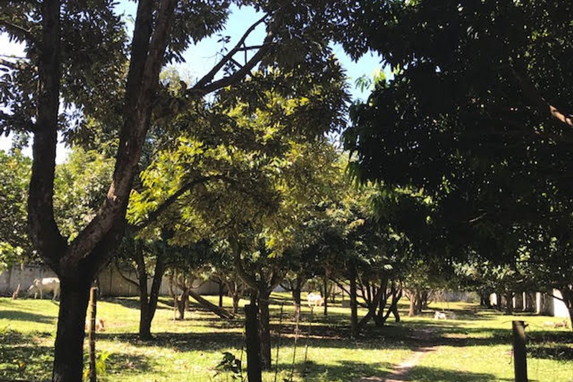 Land for Sale in Junob, Dumaguete, Negros Oriental – photo 5