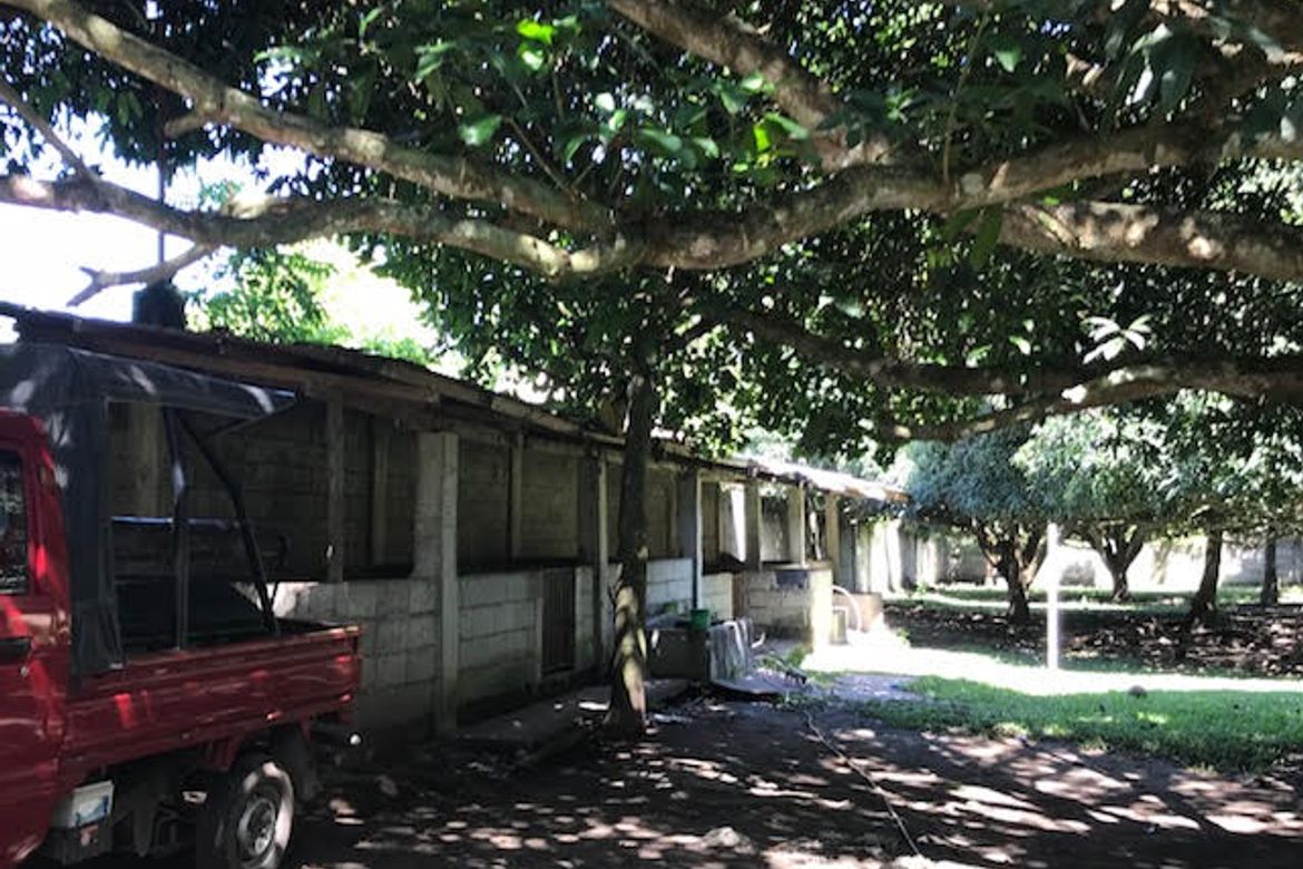 Land for Sale in Junob, Dumaguete, Negros Oriental – photo 7