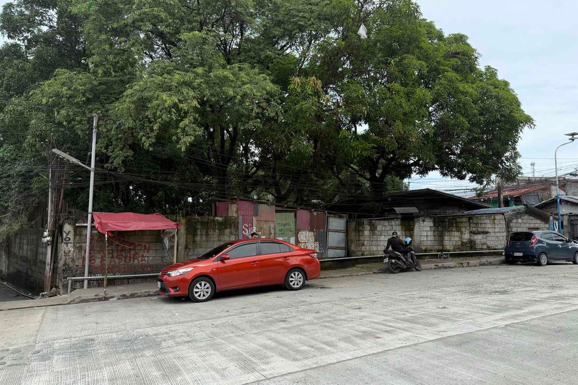 Land for Sale in Kalawaan, Binangonan, Rizal – photo 2