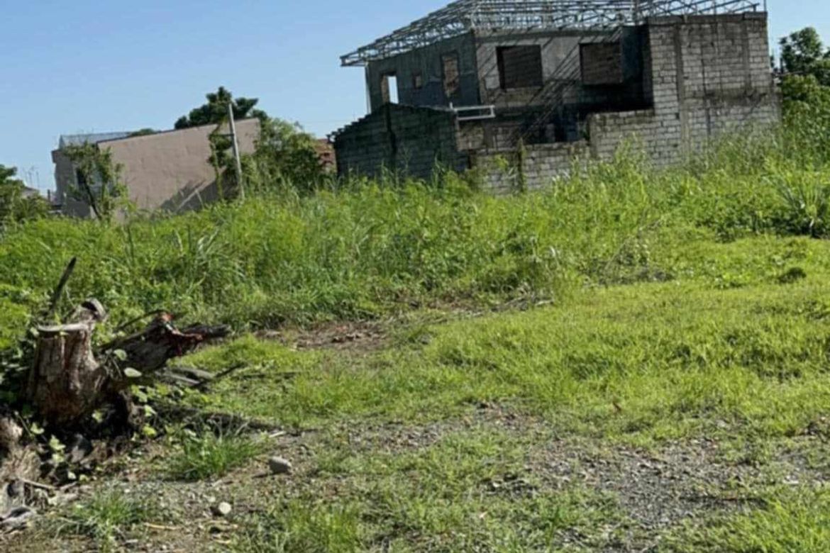 Land for Sale in Kalikid Norte, Cabanatuan, Nueva Ecija