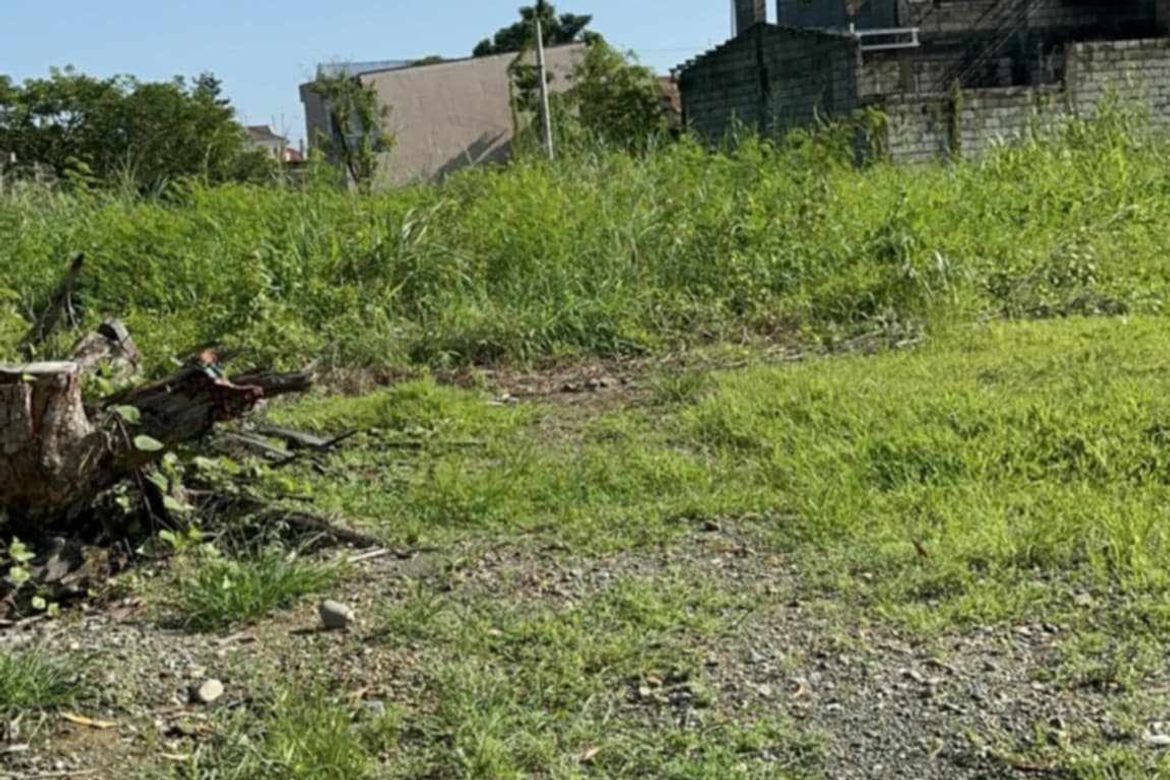 Land for Sale in Kalikid Norte, Cabanatuan, Nueva Ecija – photo 5