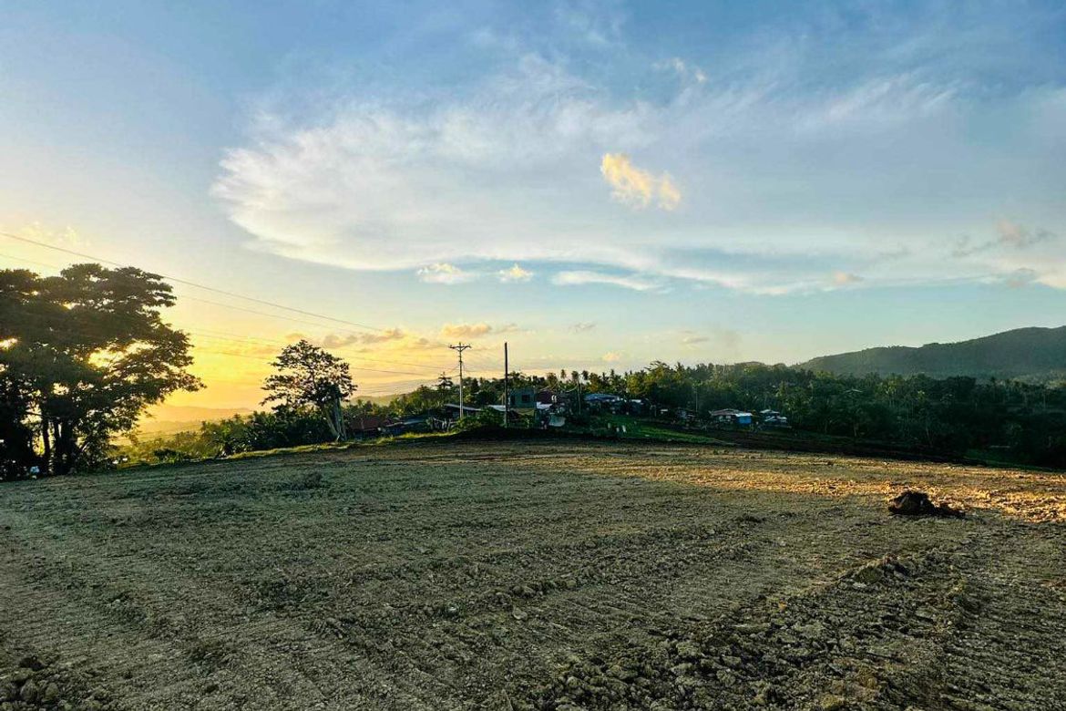 Land for Sale in Kalubihan, Barili, Cebu – photo 4