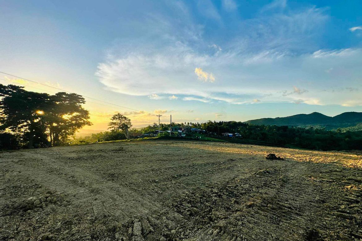 Land for Sale in Kalubihan, Barili, Cebu – photo 7