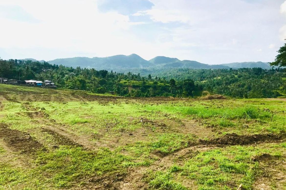 Land for Sale in Kalubihan, Barili, Cebu – photo 3
