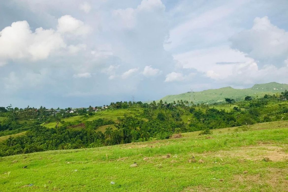 Land for Sale in Kalubihan, Barili, Cebu – photo 4