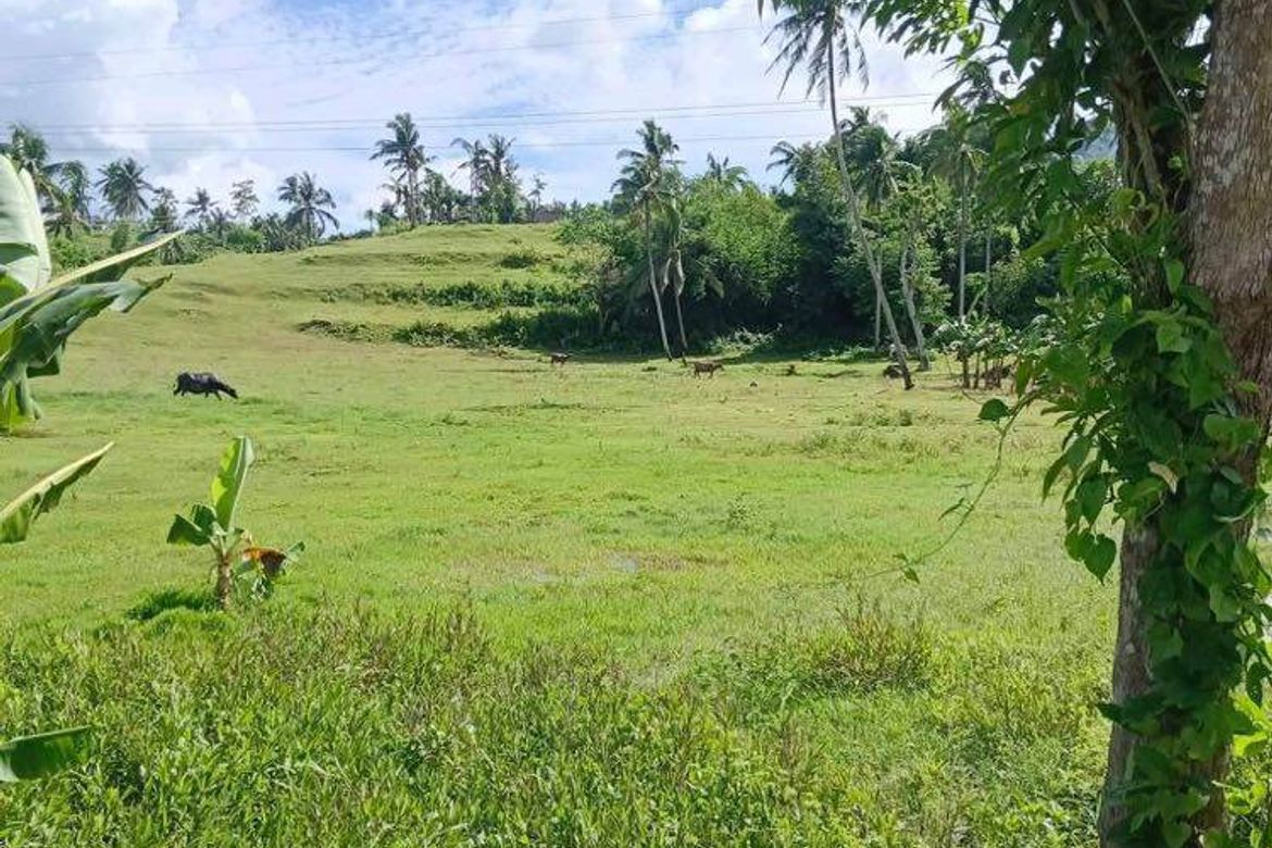 Land for Sale in Kalubihan, Barili, Cebu