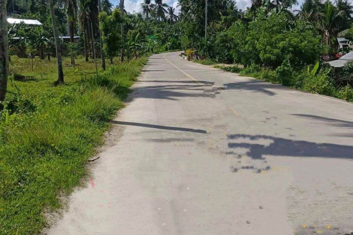 Land for Sale in Kalubihan, Barili, Cebu – photo 6