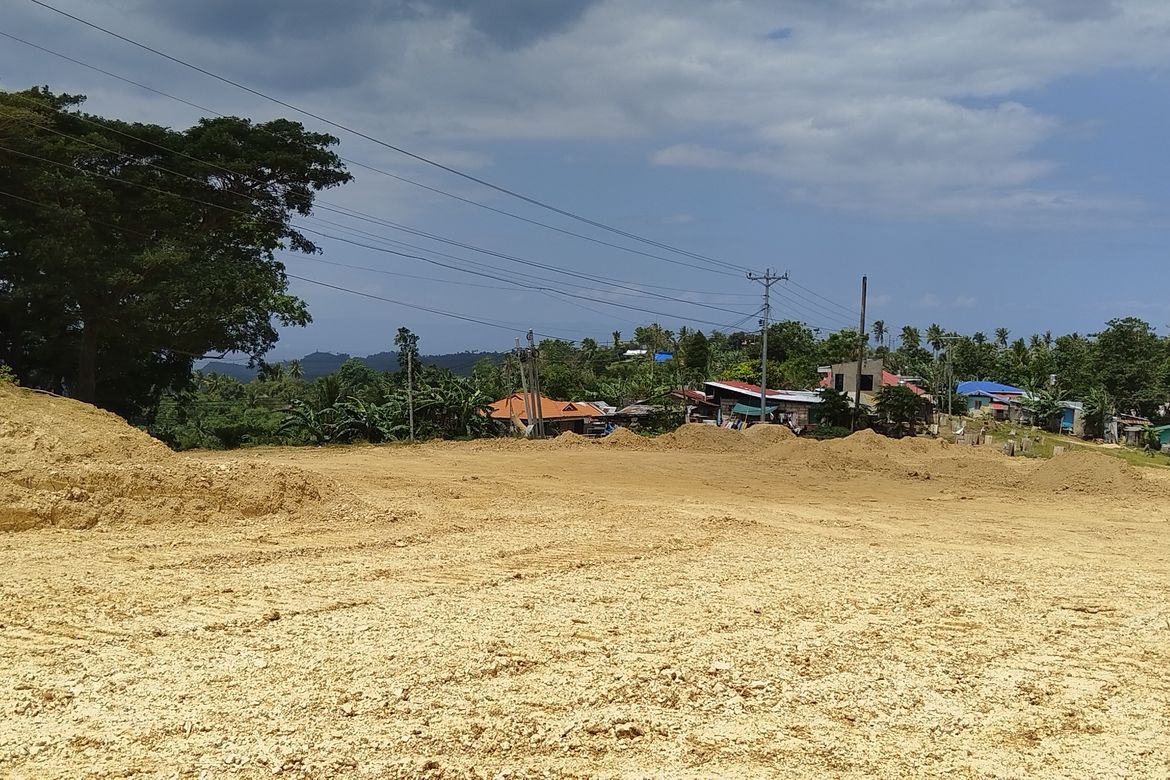Land for Sale in Kalubihan, Barili, Cebu – photo 4
