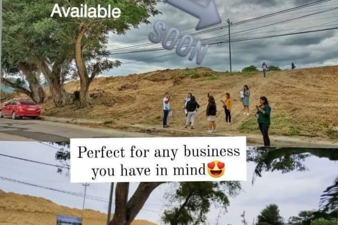 Land for Sale in Kalubihan, Barili, Cebu – photo 8