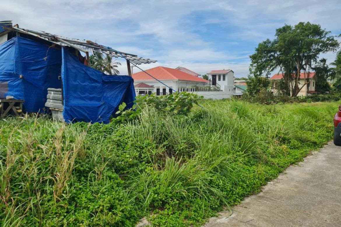 Land for Sale in Kalubkob, Silang, Cavite – photo 3