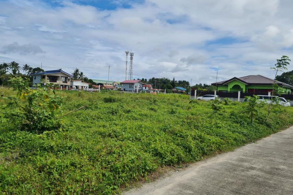 Land for Sale in Kalubkob, Silang, Cavite – photo 4