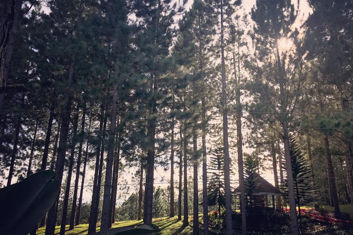 Land for Sale in Kalugmanan, Manolo Fortich, Bukidnon – photo 5