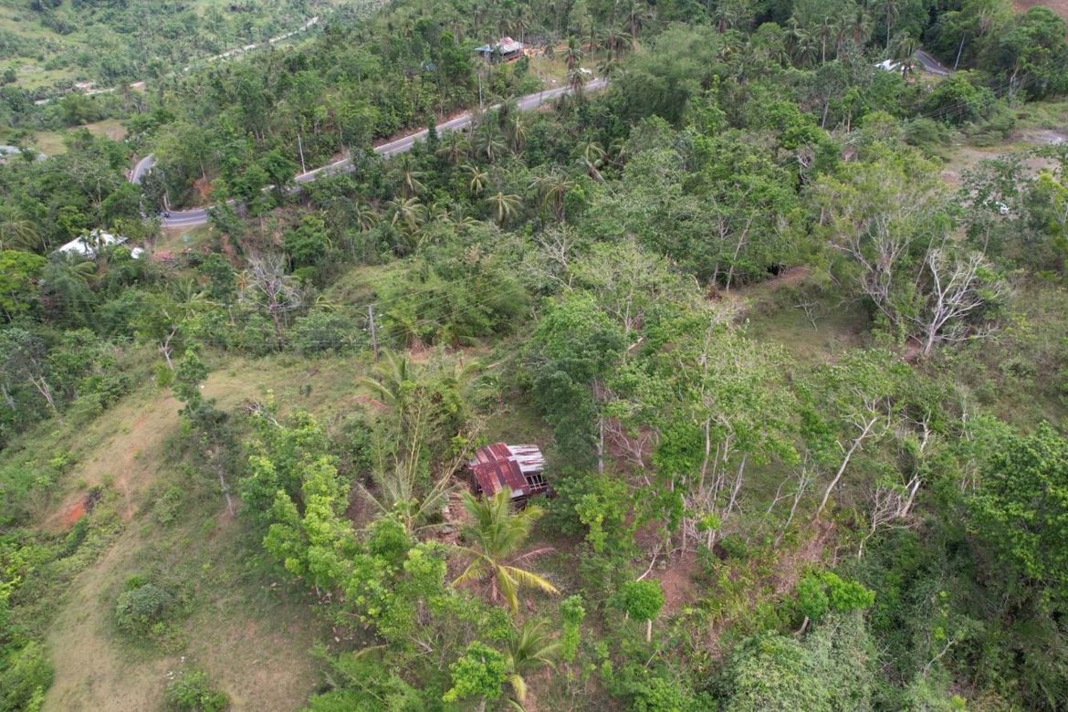 Land for Sale in Kalumboyan, Bayawan, Negros Oriental – photo 4