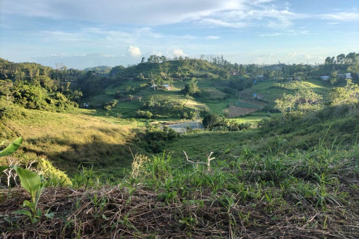 Land for Sale in Kamagayan, Cebu City, Cebu – photo 4